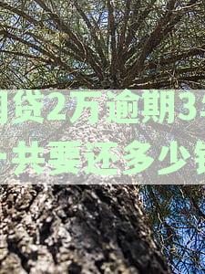 网贷2万逾期3年还款总额计算方法及解决方案