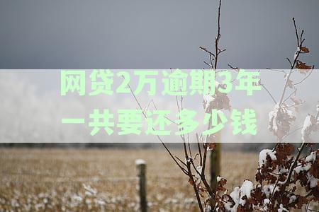 2万网贷逾期两年了：后果与解决方案详解