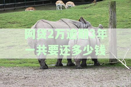 网贷2万逾期3年一共要还多少钱
