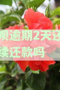 借呗逾期2天还能继续还款吗