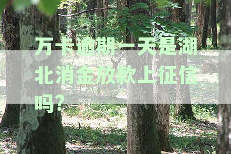 万卡逾期一天湖北消金放款会上征信吗？安全吗？放款多久到账？