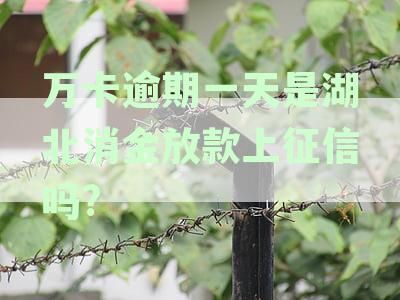 万卡逾期一天是湖北消金放款上征信吗真的吗