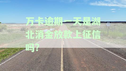 万卡逾期一天湖北消金放款上征信吗？安全可靠性分析