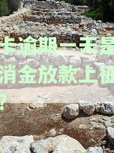 2021万卡由湖北消金放款多久到账，正规吗？