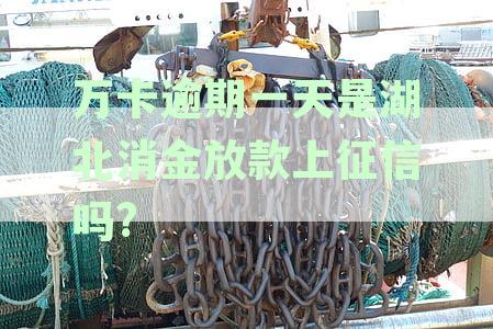 万卡逾期一天是湖北消金放款上征信吗?