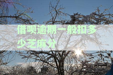 借呗逾期扣多少钱：利息与起诉标准详解