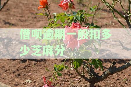 借呗逾期罚多少：逾期罚息标准及合适罚额解析