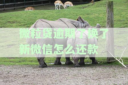 微粒贷逾期换新微信如何还款，不还会怎样？