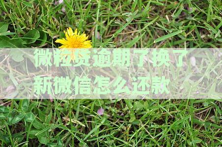 微粒贷未还款换号后怎么操作？原手机号会影响借贷吗？