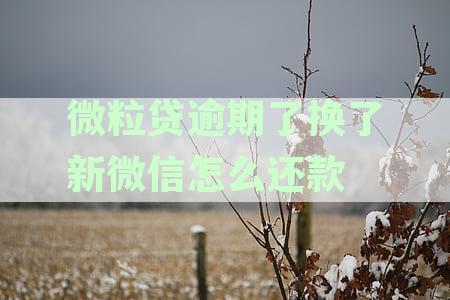 微粒贷逾期不能用,还清后能重新开通吗,以前逾期过能再次申请开通吗
