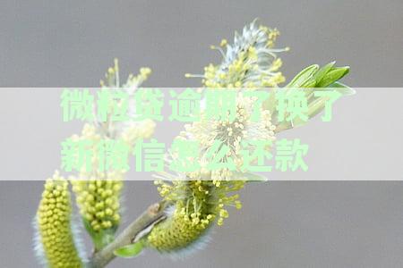微粒贷欠款换个微信号后如何使用及还款影响