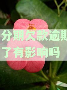 来分期欠款逾期3年了有影响吗