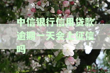 「中信银行信用贷款逾期一天会上征信吗？应对策略详解」