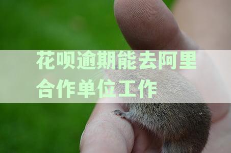 支付宝花呗逾期工作人员会到家里吗,逾期会给家里打电话吗?