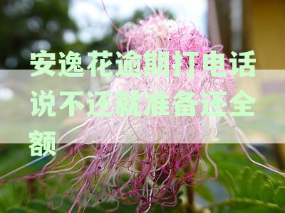 安逸花逾期后打电话说要立案,这是真的吗？