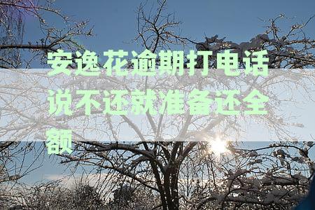 安逸花逾期两年突然来电催收，需立即还款