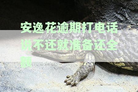 安逸花逾期打电话说不还就准备还全额