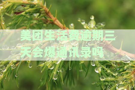 美团生活费逾期三天会爆通讯录吗安全吗：逾期一周和给家人打电话的风险