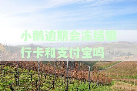 小鹅贷逾期会冻结微信账号么_不相关字_