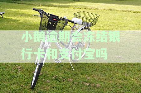 小鹅逾期会冻结银行卡和支付宝吗
