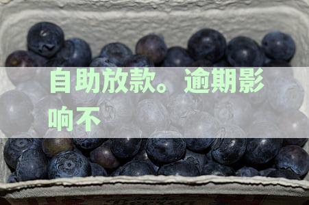 自助放款.逾期影响是否影响征信记录查询