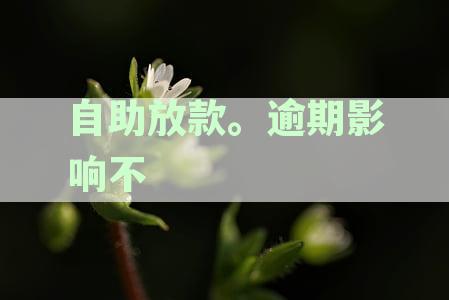 自助放款.逾期影响不利息吗:为何逾期不产生利息及解决办法