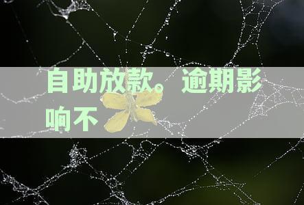 自助放款关闭了怎么办？如何处理暂时关闭的自助放款功能？