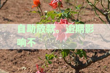 自助放款到期日期是什么意思？包含贷款期限吗？