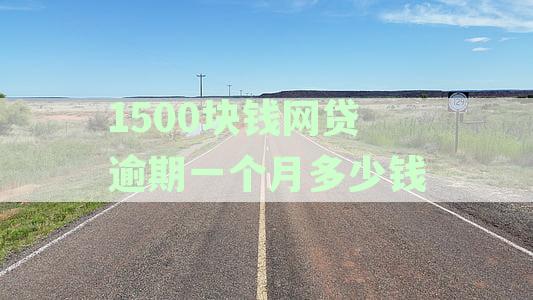 网贷1500逾期能立案吗？逾期的后果及处理方式解析