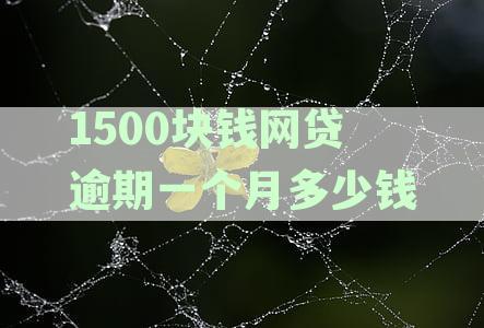 网贷逾期1500元会不会坐牢：欠款影响与解决办法全解析