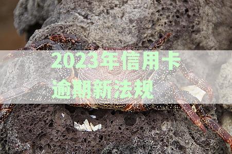 2023年信用卡逾期新法规全文解析：2022年更新