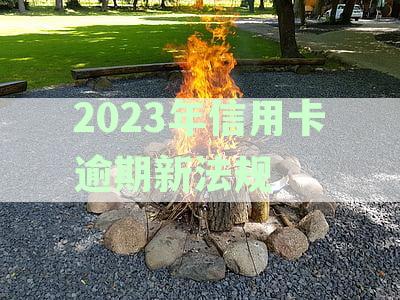 2023年信用卡逾期新法规第三条详解