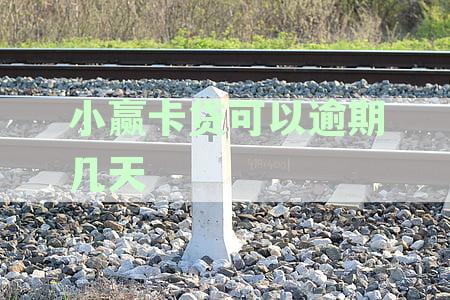小赢卡贷逾期几天上征信后果有多严重的影响分析
