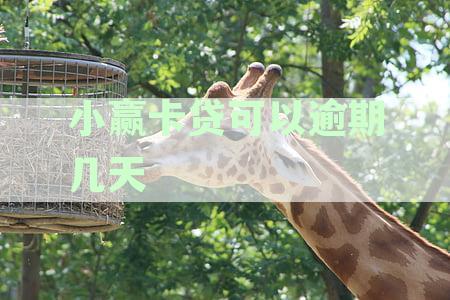 小赢卡贷逾期几天会联系紧急联系人