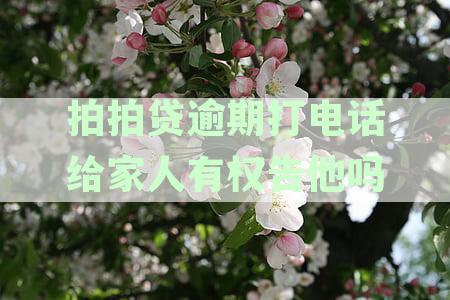 拍拍贷逾期打电话给家人有权告他吗：逾期后通讯录拨打是否合法及安全探讨