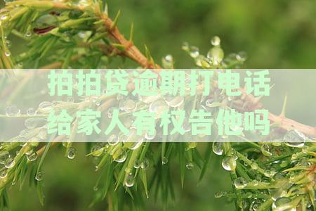 拍拍贷逾期打电话给家人有权告他吗安全吗：全违法吗？
