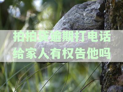 拍拍贷逾期打电话给家人有权告他吗