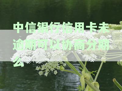 【中信银行分期还款指南】还不上款能否申请分期？安全与还款方式详解