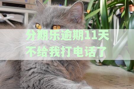 分期乐逾期突然不打电话给紧急联系人，停止短信通知
