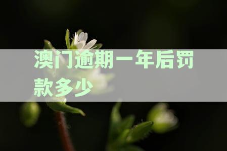 澳门逾期一年多久不让进，一年内可再次入境吗，逾期会坐牢吗