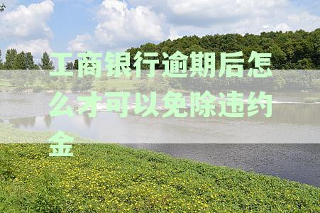 工商银行逾期后如何免除违约金并协商还款