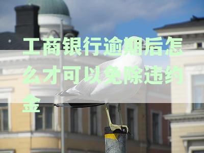工商银行逾期后怎么才可以免除违约金