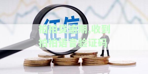 拍拍贷逾期,收到拍拍语音验证码