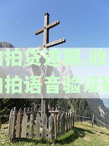 拍拍贷逾期,收到拍拍语音验证码
