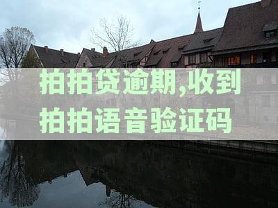 拍拍贷逾期,收到拍拍语音验证码