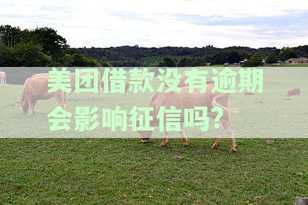 美团借款不逾期会上征信吗：全面解析是否影响信用记录
