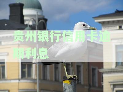 贵州银行的信用卡利息是多少？额度高吗？办理及申请指南