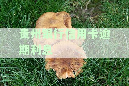 贵州银行信用卡：还款宽限期、提前还款流程及客服联系方式全解析