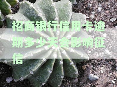 招商银行信用卡逾期多少天会影响征信报告_逾期几天会上征信
