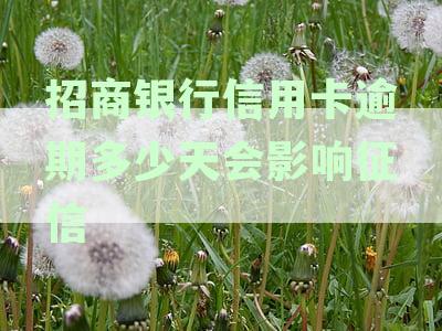 招商银行逾期多少天会上征信：逾期还款影响与关键时间点